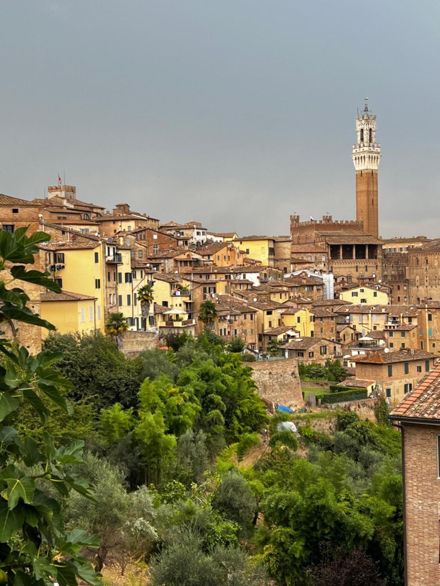 Podere La Casa Villa d'Arceno 외부 사진